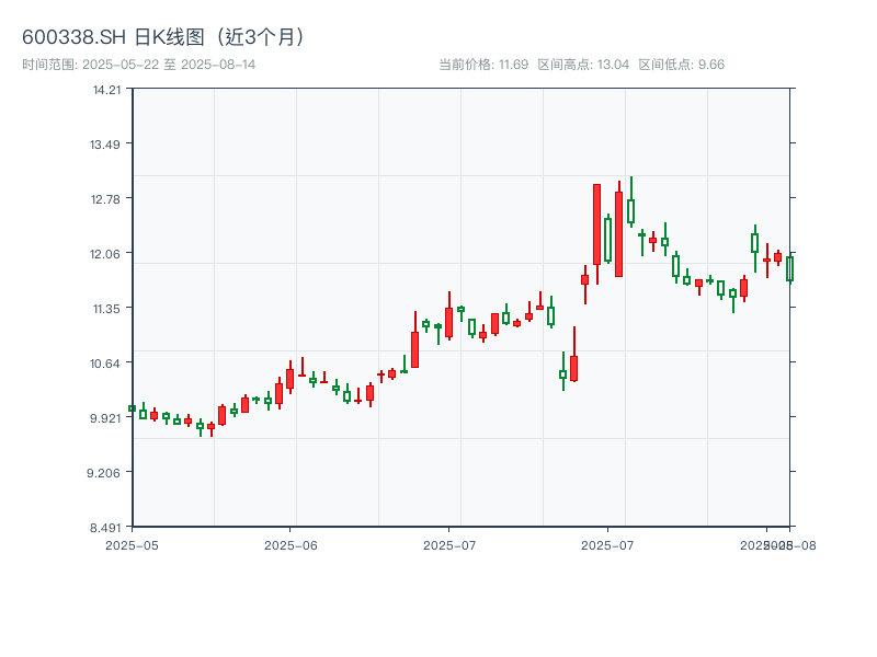 600338.SH 原始K线图