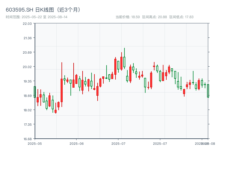 603595.SH 原始K线图